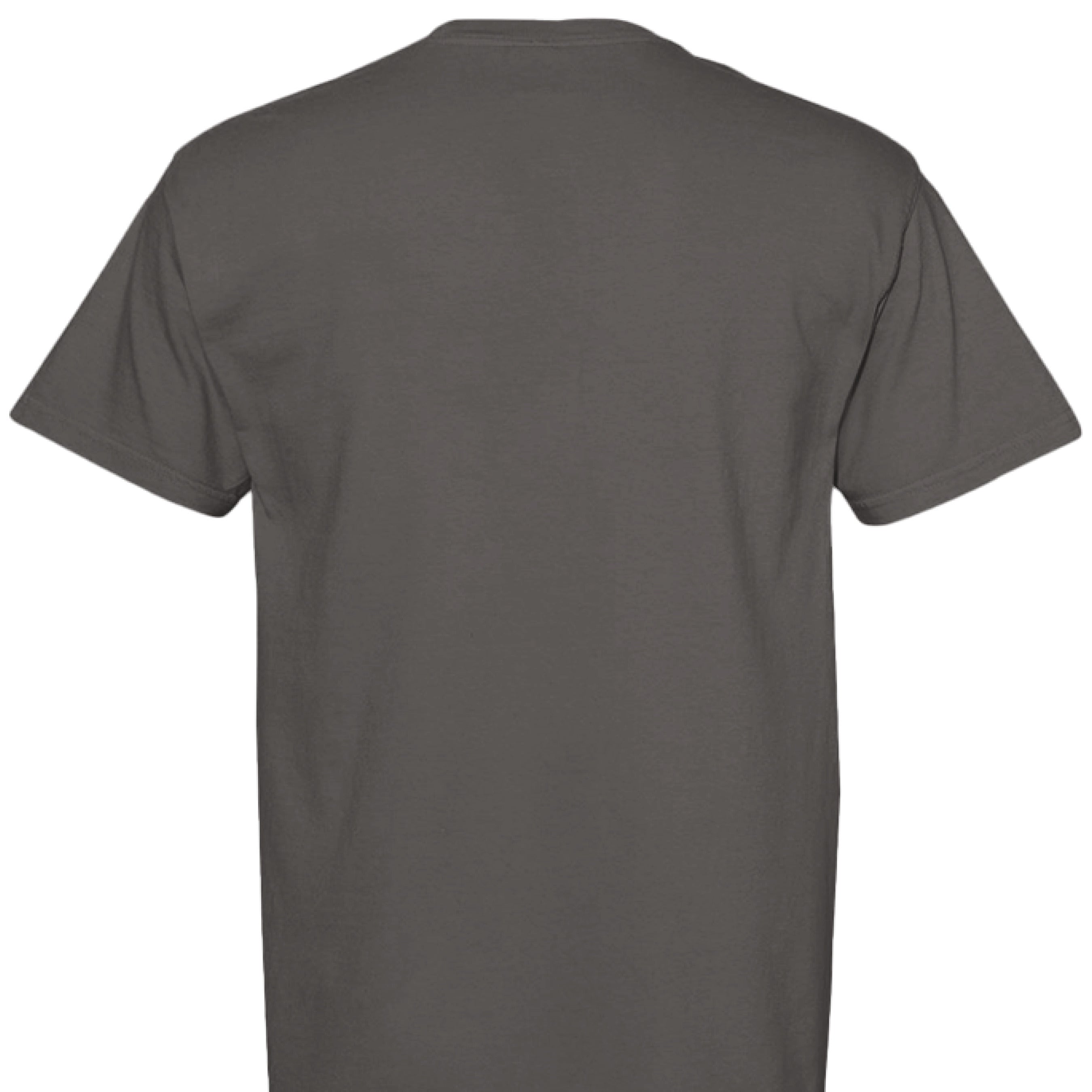 250th Anniversary T-Shirt - Comfort Colors Statue of Liberty - Fashions Envy