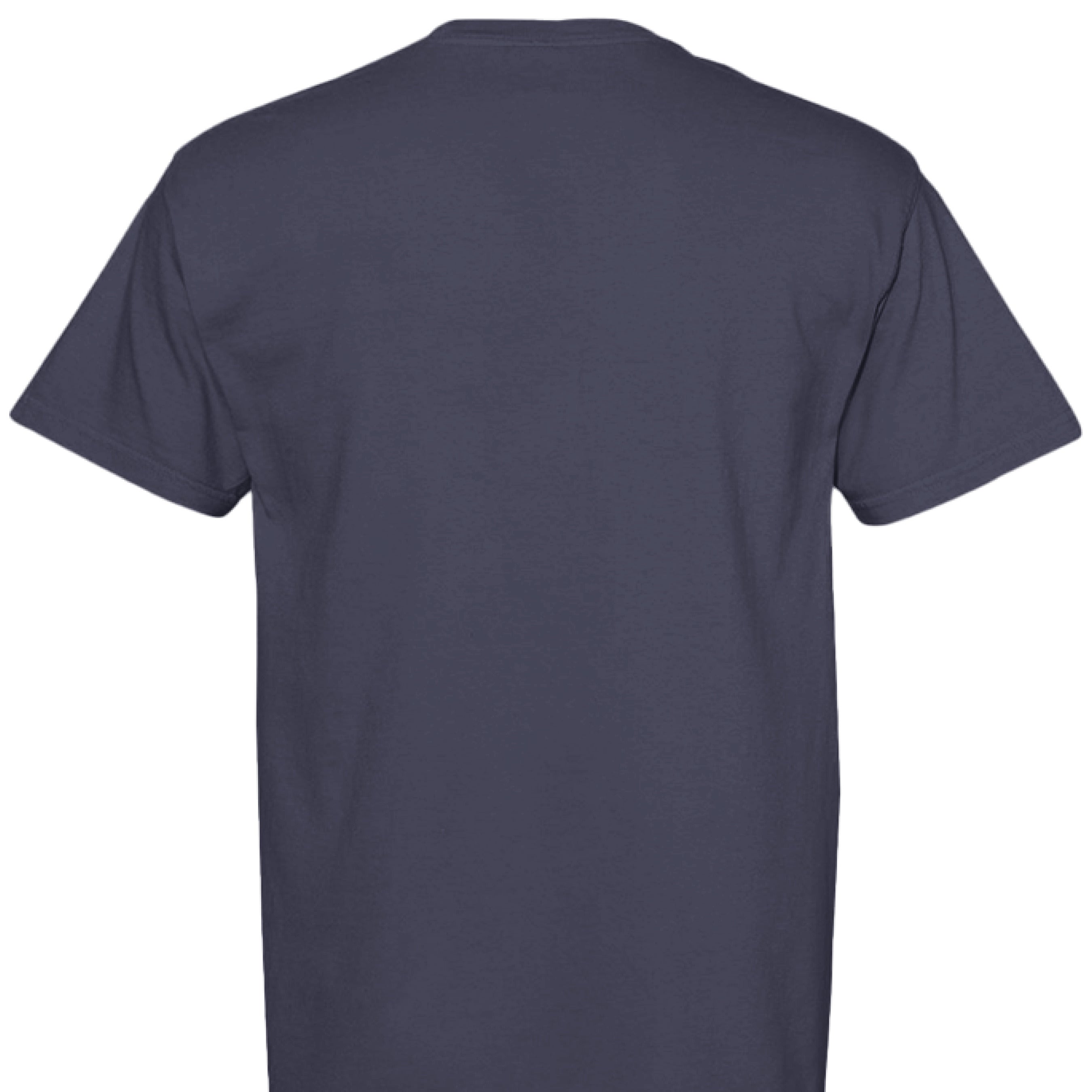 Comfort Colors T-Shirt - We The People 250 Years - Fashions Envy