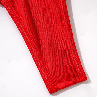 Red Embroidered Lingerie Set - Underwire Bra Garter Belt Thong