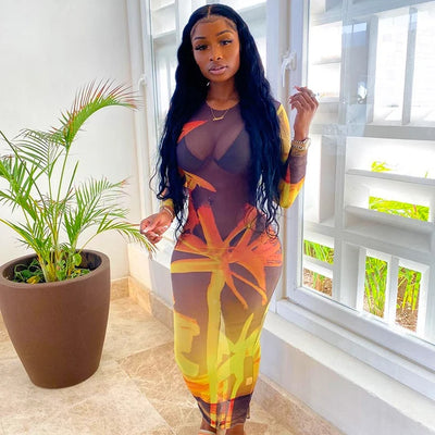 Mesh Maxi Dress - Sheer Long Sleeve Bodycon Dress