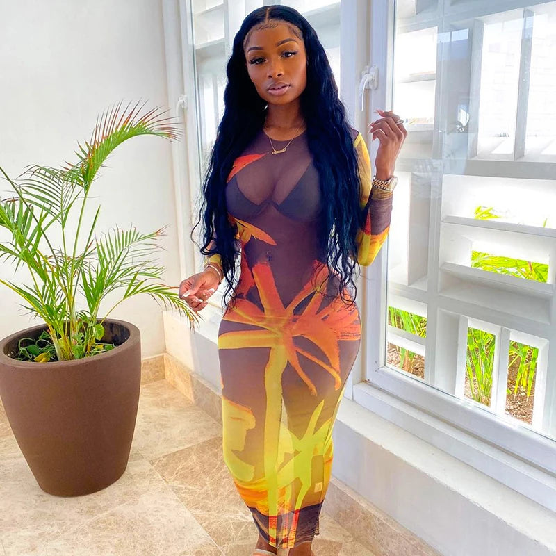 Mesh Maxi Dress - Sheer Long Sleeve Bodycon Dress