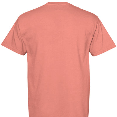 250th Anniversary T-Shirt - Comfort Colors Semiquincentennial - Fashions Envy