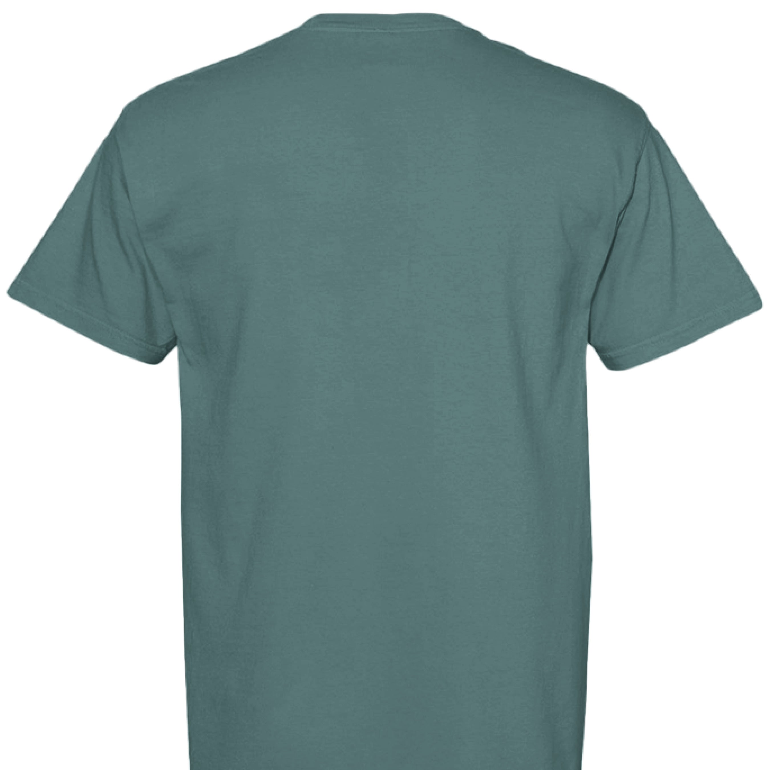 250th Anniversary T-Shirt - Comfort Colors Statue of Liberty - Fashions Envy
