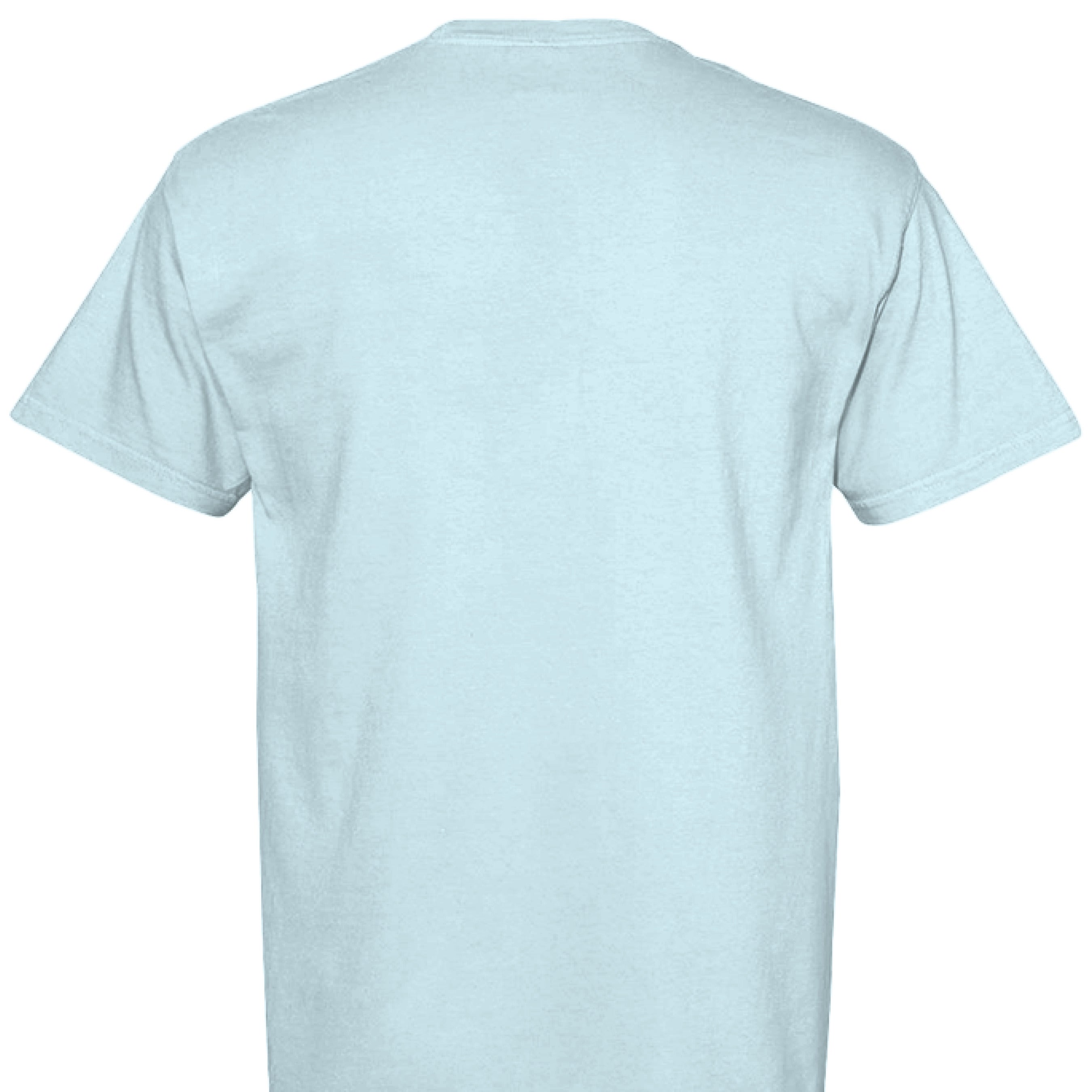 Comfort Colors T-Shirt - We The People 250 Years - Fashions Envy